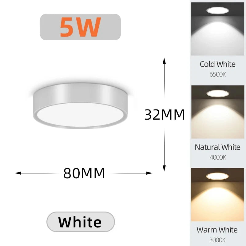 LED Ceiling Light – Surface Mounted
